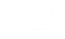 Moiz digital marketing