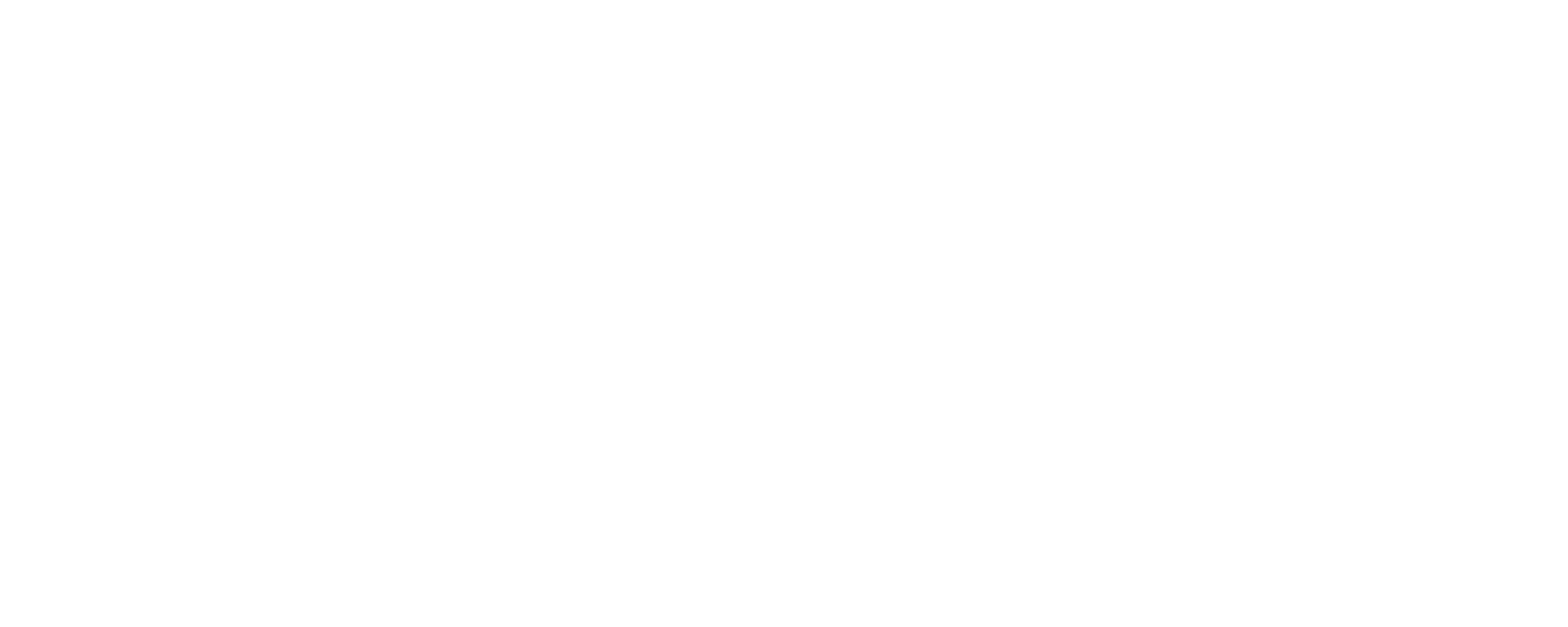 Moiz Digital Solutions